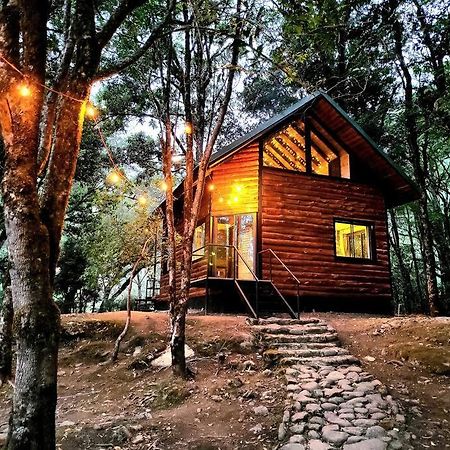 سان جيراردو دو دوتا Unicorn Lodge: Direct Riverfront : Unique Experience المظهر الخارجي الصورة