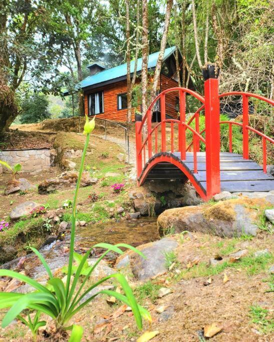 سان جيراردو دو دوتا Unicorn Lodge: Direct Riverfront : Unique Experience المظهر الخارجي الصورة