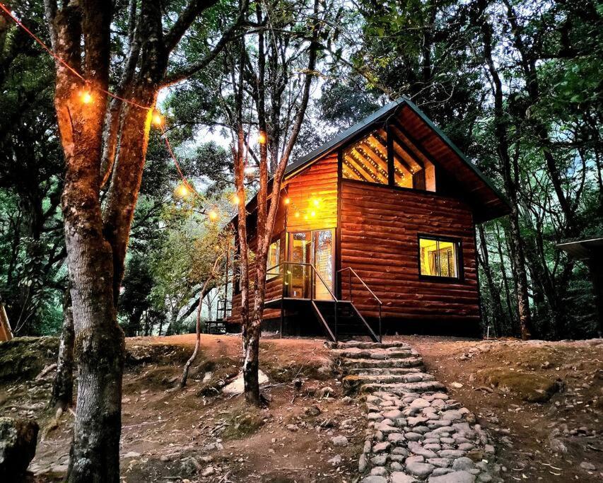 سان جيراردو دو دوتا Unicorn Lodge: Direct Riverfront : Unique Experience المظهر الخارجي الصورة