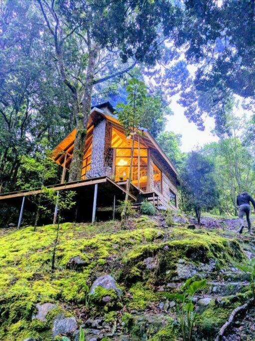 سان جيراردو دو دوتا Unicorn Lodge: Direct Riverfront : Unique Experience المظهر الخارجي الصورة
