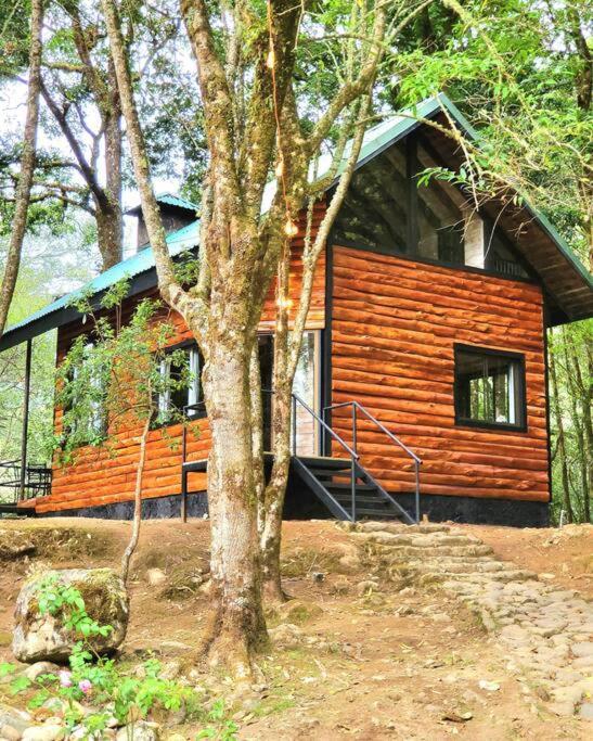 سان جيراردو دو دوتا Unicorn Lodge: Direct Riverfront : Unique Experience المظهر الخارجي الصورة