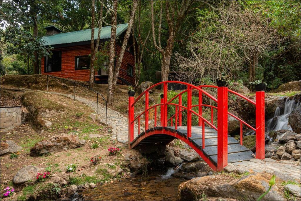 سان جيراردو دو دوتا Unicorn Lodge: Direct Riverfront : Unique Experience المظهر الخارجي الصورة
